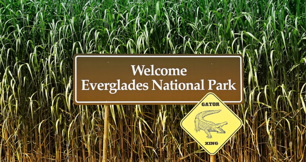 sign, everglades, america-4414120.jpg