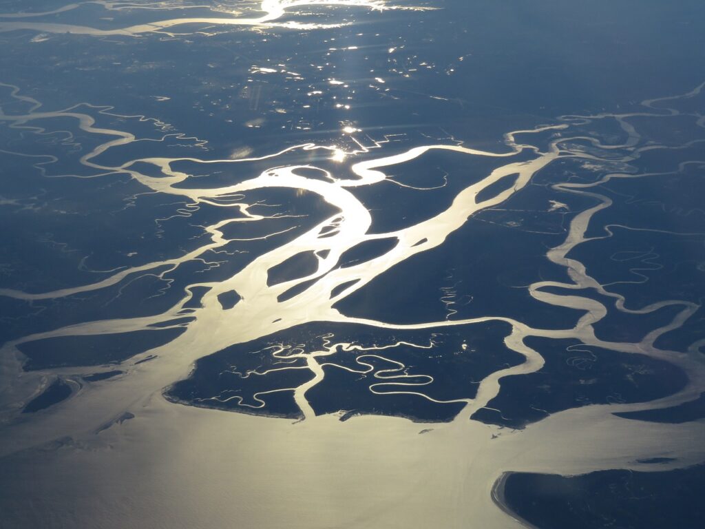 swamp, florida, wetland-2248571.jpg